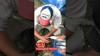 Ахтуба Рыбацкие Будни.