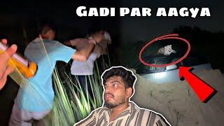 तेंदुआ  gadi par chad gya