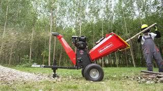 Demonstration of 6 inch B&S VANGUARD Engine Powered Drum Wood Chipper  P4206