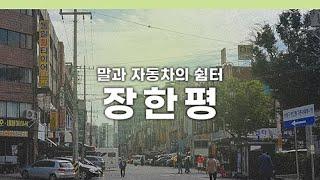 장안동 소개