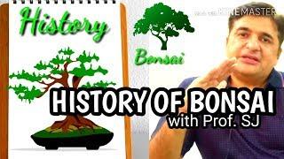 History of Bonsai Plants | What are Bonsai Plants | Teaching Of Bonsai