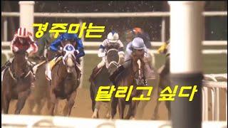 경마 중단위기. '경주마는 달리고 싶다!'