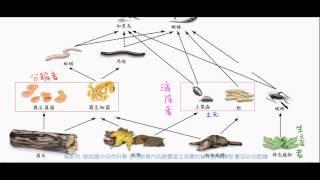 國一生物_生物與環境的交互作用_能量流轉與物質循環【莫斯利國中自然科學】 【國中生物】