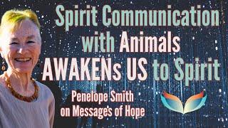 Learn to Awaken to YOUR Spirit by Learning to Communicate with Animals: Penelope Smith