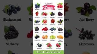 Type of Berries English Vocabulary with Pictures 