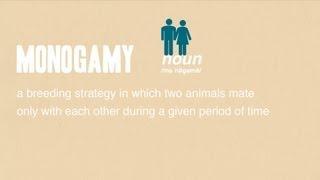 Monogamy