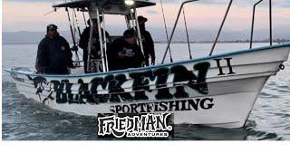 Friedman Adventures looking for yellowfin tuna with Blackfin Sportfishing in Ensenada, Baja Norte.