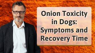 Onion Toxicity in Dogs: Symptoms and Recovery Time