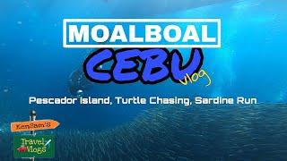 Sardine Run and Turtle Chasing in Moalboal Cebu | kensamtv kensamtravel