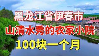 黑龙江省鹤岗市别墅小区，独栋小楼带菜园全款10W一套，水费物业费都免费！【鬼头看房】