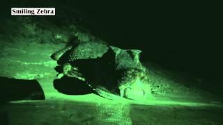 KILLER CAIMANS AMAZON NIGHT