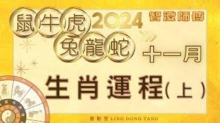 2024年11月運勢 十二生肖 運程預測（上） | 每個生肖也有特別注意事項記得看完｜鼠牛虎兔龍蛇生肖 運程 | 事業  愛情 財運 預測 | 2024增運 運勢 加強