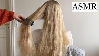 ASMR | 1 HOUR Hair Brushing *guaranteed sleep*  (no talking)