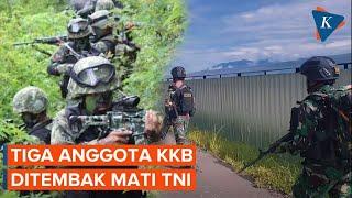 TNI Tembak Mati Tiga Anggota KKB Pimpinan Terinus Enumbi di Puncak Jaya