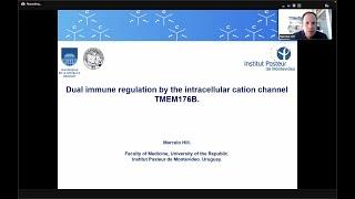 "Dual immune regulation by the cation channel TMEM176B" by Dr. Marcelo Hill