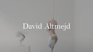 David Altmejd on "Rabbits" | In the Gallery | Xavier Hufkens