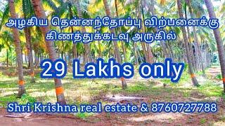 11) (SOLD)அழகிய தென்னந்தோப்பு  விற்பனைக்கு low budget coconut farm #landforsale  in