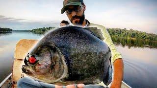 MONSTER PIRANHA FISHING in the AMAZON!!