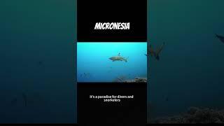 Micronesia Marvels: A Pacific Paradise