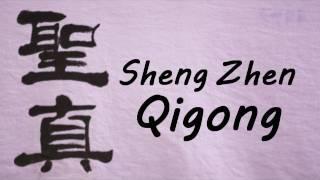 Qi & Qigong for Stress Relief, Fitness & Meditation by AOMA Graduate School Austin