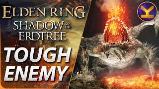 Elden Ring DLC - Tough Enemy - Magma Wyrm - Dragon's Pit - Shadow of the Erdtree