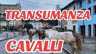 MANDRIA di CAVALLI in TRANSUMANZA di Davide Cattaneo PASCOLO VAGANTE Bergamo