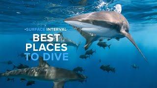 5 Of The Best Places To Scuba Dive...Updated