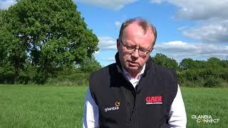 Managing Dairy Cow Lactation in Dry Conditions