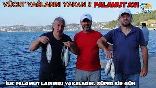 PALAMUT AVI / İSTANBUL BOĞAZDA PALAMUT LARLA GÜREŞTİK ve YAKALADIK. ÇUBUKLU- SÜPER BİR GÜN.#fishing