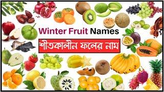 শীতকালীন ফলের নাম ও ছবি ইংরেজি থেকে বাংলা।Winter Fruit Names with Pictures in English to Bangla