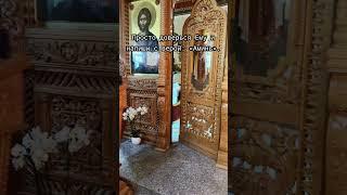 Бог защитит каждого, кто верит. Если ты сейчас читаешь это — это не случайность.