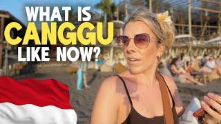 What Is BALI Like Now? My HONEST Experience of Canggu