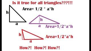 Proof of the area of any triangle is 1/2*base*height