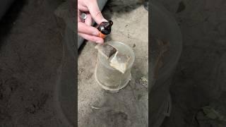 #дача#огород#совет#лайфхак#урожай#грядки #lifehacks #shorts