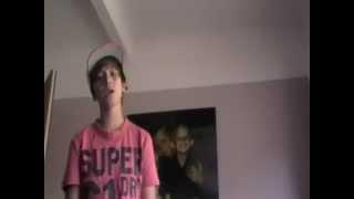 Chris Wilkinson-Last Request (cover)