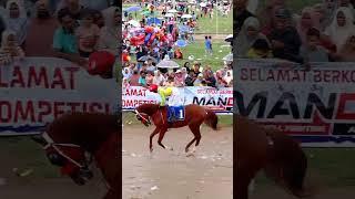 Pacu kuda #horse #pacuankudaindonesia #horseracing