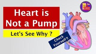 Heart is not a Pump - Let's see Why ? | Heart Function | Heart