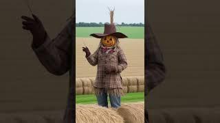 Why the Scarecrow Got Kicked Off Tinder  #NoFilterFunny #Adult #funnyshorts #jokes #shorts