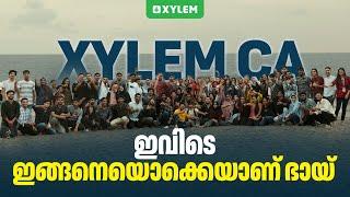 Xylem CA ഇവിടെ ഇങ്ങനെയൊക്കെയാണ് ഭായ് | Xylem CA