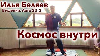 Илья Беляев  Космос внутри (Вишенки. Лето 23_3)