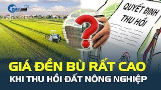 Giá ĐỀN BÙ đất nông nghiệp chuẩn bị TĂNG RẤT CAO, vì sao? | CafeLand