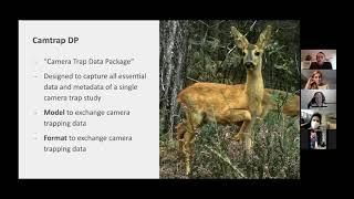 Peter Desmet's Presentation on Frictionless Data exchange format for camera trapping data