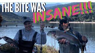 WIDE OPEN Bite - So Cal Trout Fishing with Mini Jigs & Spoons