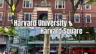 (Outdoors) Harvard University and Harvard Square 20240622