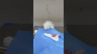 Neutering in Tom #shortsvideo #veterinarycare