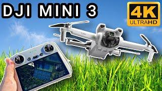 You Need This Drone! DJI Mini 3 Review and Flight Footage 4K 30FPS!