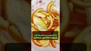 Не выбрасывайте корки цитрусовых: бесплатное средство от вредителей #огород #сад #вредители #урожай
