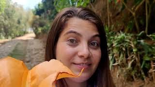 Me lleve esta flor para dormir toda la noche, recorriendo el laberinto de Albania en Apaneaca