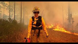 Conserving Wildlife and Habitats through Wildland Fire