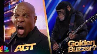 UNBELIEVABLE! FIRST MONKEY EVER PLAYS GUITAR AND WINS GOLDEN BUZZER IN AMERICAS GOT TALNET 2025